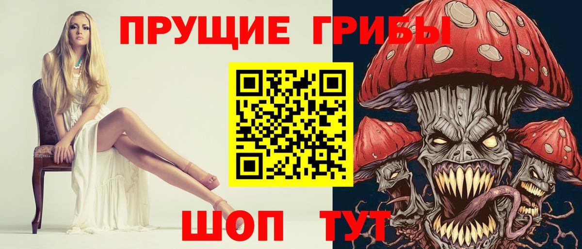Гуково  Псилоцибиновые грибы Psilocybine cubensis  Вход с VPN 